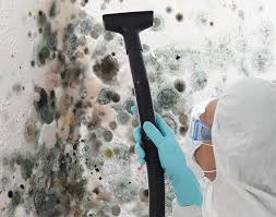 Best Emergency Mold Remediation in West Ack, NY